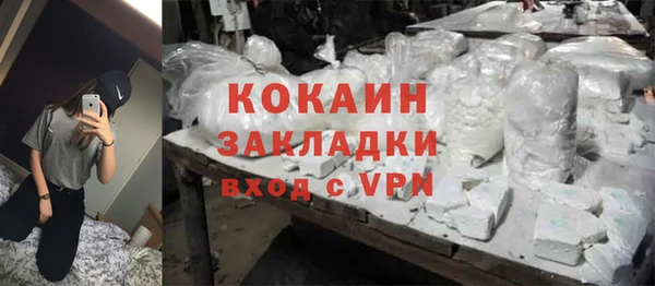 индика Белокуриха