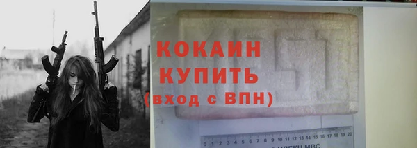 индика Белокуриха