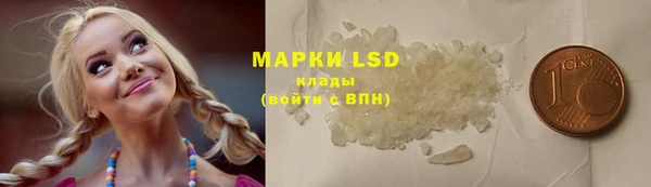 индика Белокуриха