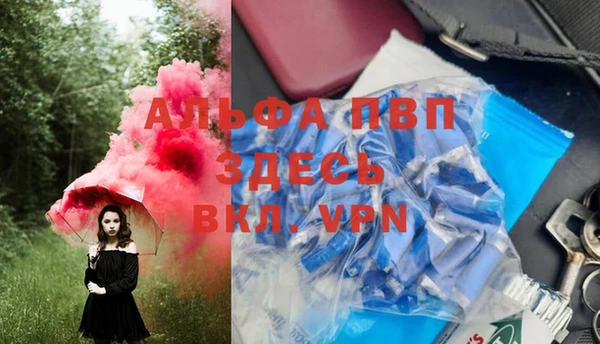 индика Белокуриха