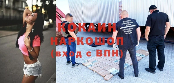индика Белокуриха