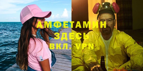 индика Белокуриха