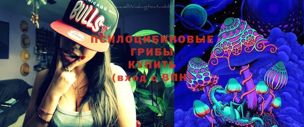 индика Белокуриха