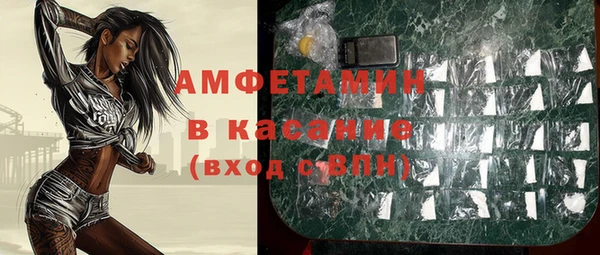 индика Белокуриха