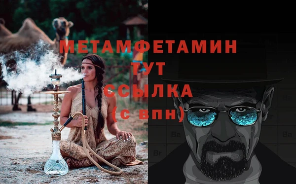 прущие грибы Богданович