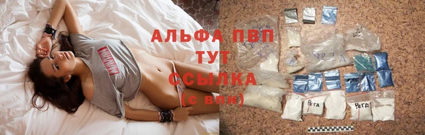 индика Белокуриха