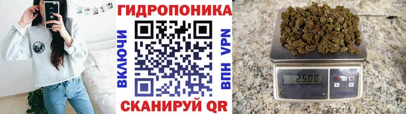 Шишки марихуана OG Kush  Пионерский 